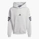 adidas Future Icons 3-Streifen Hoodie Grau 142432 1
