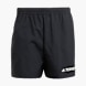 adidas Terrex Multi Shorts Schwarz 132651 1