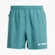 adidas Terrex Multi Shorts Grün 142803 1