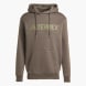 adidas Terrex Multi Large Logo Hoodie Grün 156222 1