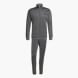 adidas DAYREADY TRAININGSANZUG Grau 156420 1