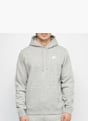 Nike Sudadera con capucha Gris 21533 5