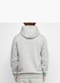 Nike Sudadera con capucha Gris 21533 1