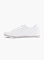 Graceland Sneaker Alb 7661 2