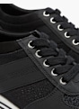 Graceland Sneaker Negro 536 5