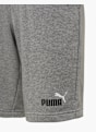 PUMA Shorts Grau 5932 3