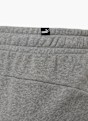 PUMA Shorts Grau 5932 4