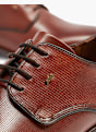 AM SHOE Spoločenská obuv Hnedá 1454 5