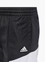 adidas Šortai Juoda 4285 4