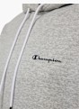 Champion Hoodie Grau 55980 3