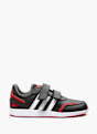 adidas Trainer black 88849 1