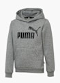 PUMA Hoodie Grau 21900 1