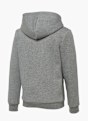 PUMA Sweat à capuche Gris 21900 2