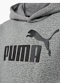 PUMA Hoodie Grau 21900 4
