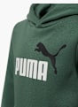PUMA Sudadera con capucha Verde oscuro 5226 3