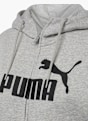 PUMA Sudadera con capucha Gris 2480 3