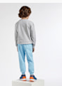 PAW Patrol Sweatshirt Grå 848 3