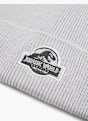 Jurassic World Pletená čiapka Sivá 4335 3
