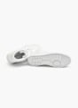Champion Visoke superge Bela 10688 2
