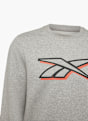 Reebok Sweatshirt Grau 27124 3