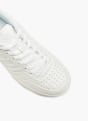 Vty Sneaker Blanco 6591 2