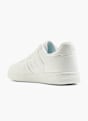 Vty Sneaker Blanco 6591 3