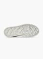 Vty Sneaker Blanco 6591 4