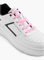 DEICHMANN Schnürsenkel Pink 8128 6