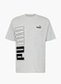 PUMA Marškinėliai Pilka 4823 1