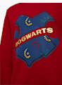 Harry Potter Hoodie Rot 1309 3