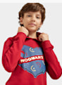 Harry Potter Sweat à capuche Rouge 1309 7