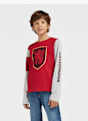 Harry Potter Longsleeve Rot 3929 5