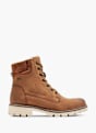 TOM TAILOR Schnürboots Cognac 6687 1