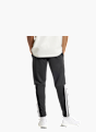 adidas Jogginghose Schwarz 24835 5