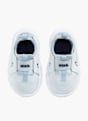 Nike Træningssko Blå 9281 2