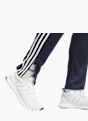 adidas Jogginghose Blau 9130 3