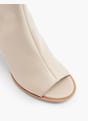 Catwalk Botine Bej 9640 2