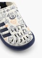 adidas Sandale Hellgrau 9855 2