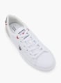 U.S. Polo Sapatilha Branco 20345 2