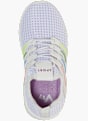Vty Sneaker Mor 72138 2