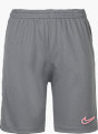 Nike Shorts Grau 28894 1