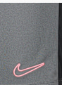 Nike Short Gris 28894 3