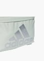 adidas Kuprinė Mėtinė 36450 5