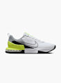 Nike Baskets de fitness Gris 39073 1