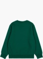 Champion Sweatshirt Grün 39443 2
