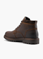 AM SHOE Botki sznurowane Brązowy 48536 3