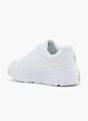 Skechers Sneaker Bianco 55202 3