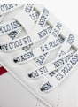 U.S. Polo Sapatilha Branco 55205 5