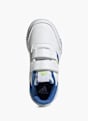 adidas Sapatilha Azul 55316 3