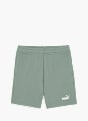 PUMA Shorts Grün 57029 1